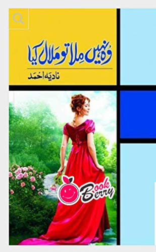WO NAHIN MILA TO MALAL KIYA (Paperback)