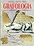 Grafologia: Dalla scrittura alla personalità (Italian Edition)