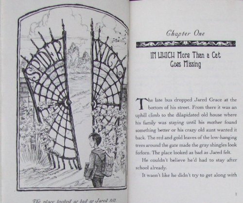 By Tony DiTerlizzi Lucinda's Secret: Movie Tie-in Edition (The Spiderwick Chronicles) (Mti) [Hardcover]