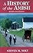 History of the Amish: Revised And Updated by Steven M. Nolt(2004-04-01)