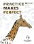 Practice Makes Perfect Level 5 by Angela O'Dell Practice Makes Perfect Level 5 by Angela O'Dell
