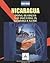 Doing Business and Investing in Nicaragua Guide (World Business Information Catalog)