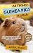 All Things Guinea Pigs For Kids by Animal Reads