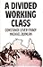 Divided Working Class: Ethnic Segmentation and Industrial Conflict in Australia