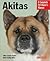 Akitas: Everything about He...