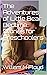 The Adventures of Little Bear: Bedtime Stories for Preschoolers
