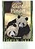 Giant Pandas