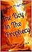 The Boy In The Prophecy (Th...