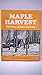 Maple Harvest: The Story of Maple Sugaring