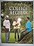 College Algebra, Math 123, with CD-ROM - Custom Edition for Fayetteville State University