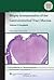 Biopsy Interpretation of the Gastrointestinal Tract Mucosa by Elizabeth A. Montgomery
