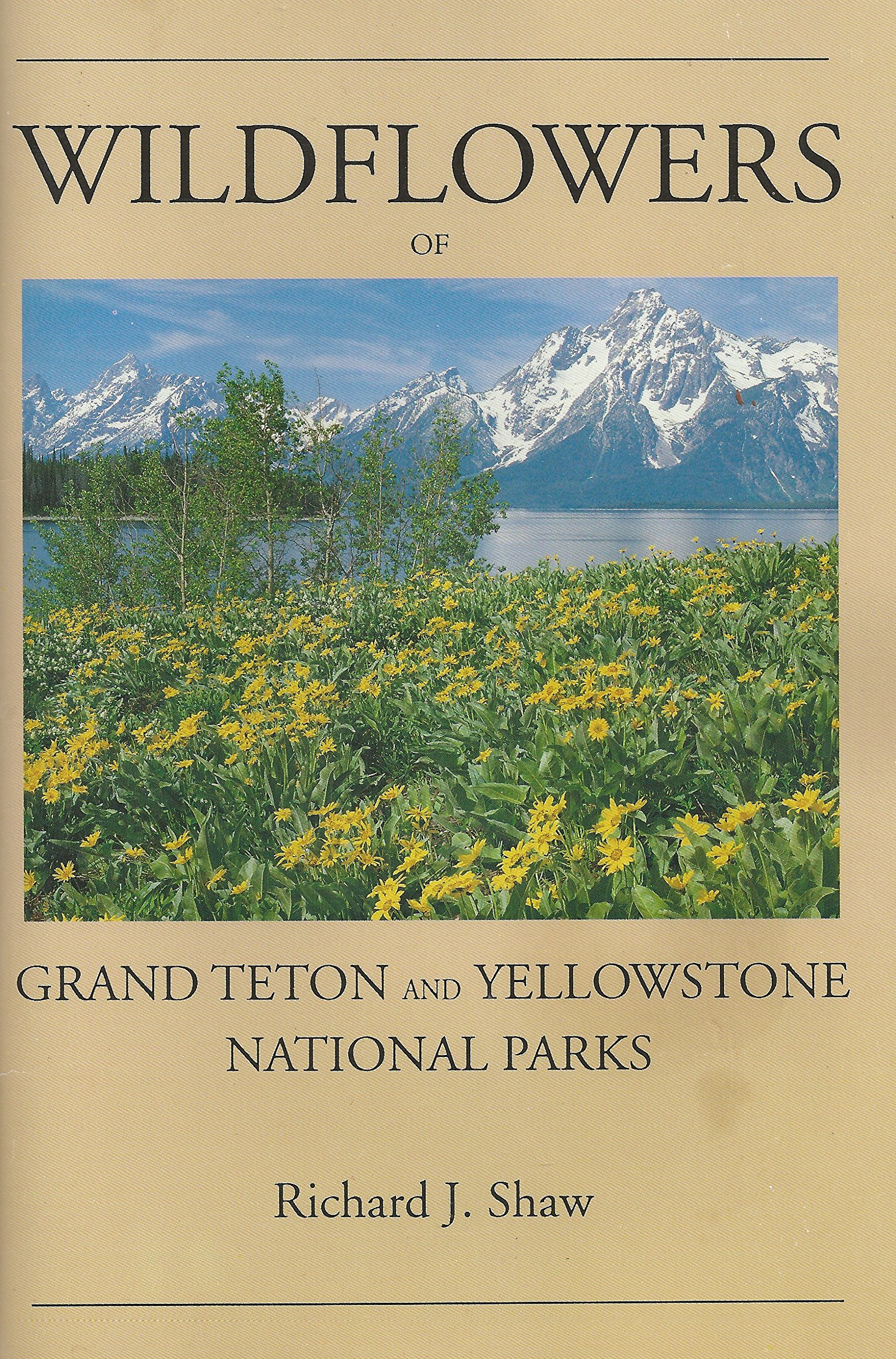 Wild Flowers of Yellowstone and Grand Teton National Parks (Paperback)