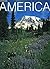 America