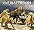 Jay Matternes: Paleoartist ...