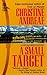 Small Target by Andreae (1998-01-01)