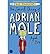 The Secret Diary of Adrian Mole Aged 13 3/4