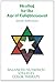 Healing for the Age of Enlightenment by Stanley Burroughs (1993-10-23)