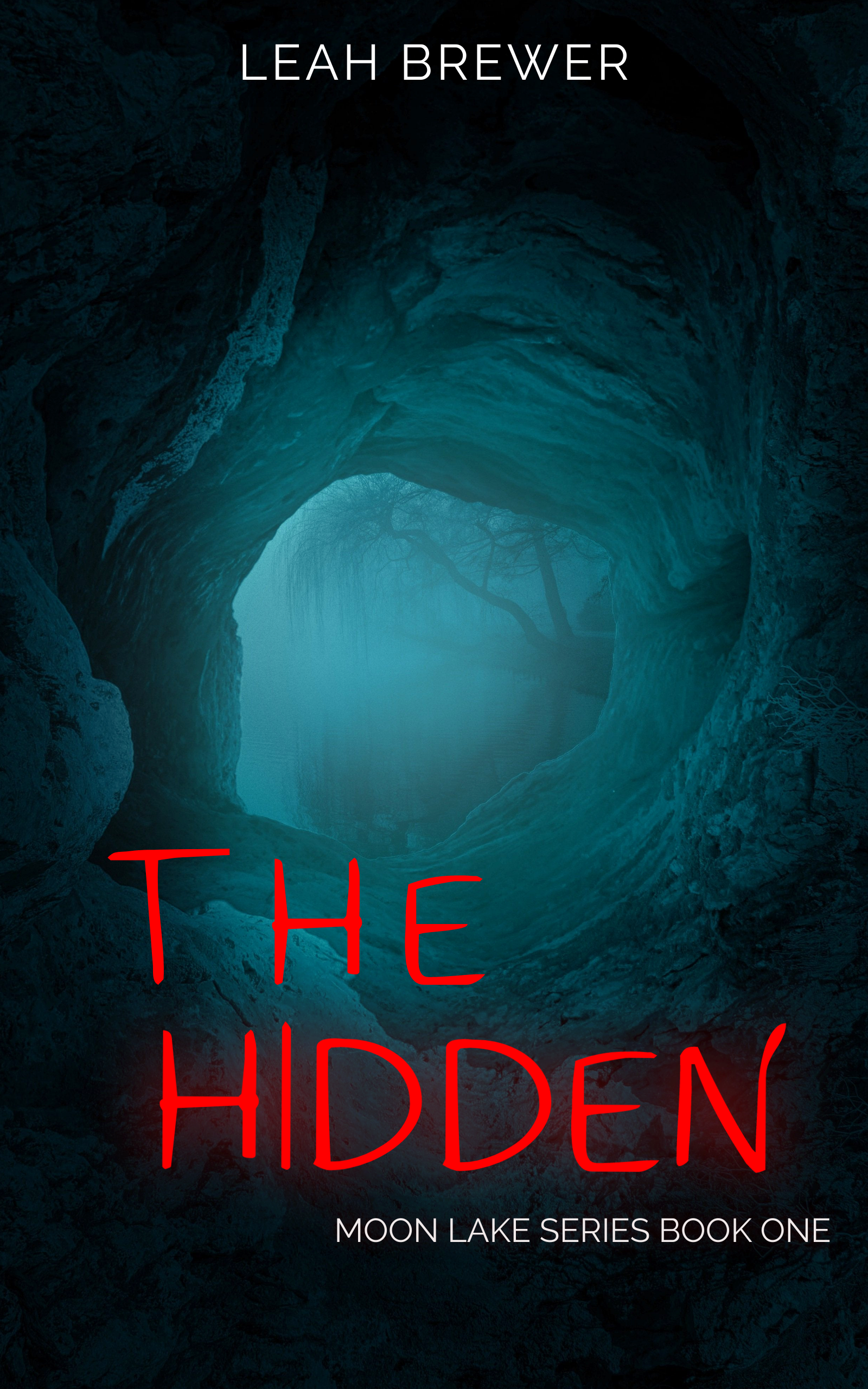 The Hidden (Moon Lake #1)