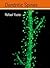 Dendritic Spines by Rafael Yuste (2010-11-02)
