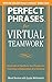 Perfect Phrases for Virtual Teamwork: Hundreds of Ready-to-Use Phrases for Fostering Collaboration at a Distance (Perfect Phrases Series) by Runion, Meryl, McDermott, Lynda 1st edition (2012) Paperback