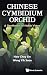 Chinese Cymbidium Orchid by Hew Choy Sin