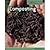 Composting: Decomposition