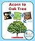 Acorn to Oak Tree (Rookie Read-About Science) by Lisa M. Herrington (2014-02-03)
