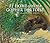 At Home with the Gopher Tortoise: The Story of a Keystone Species