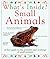 What's Inside ? Small Animals
