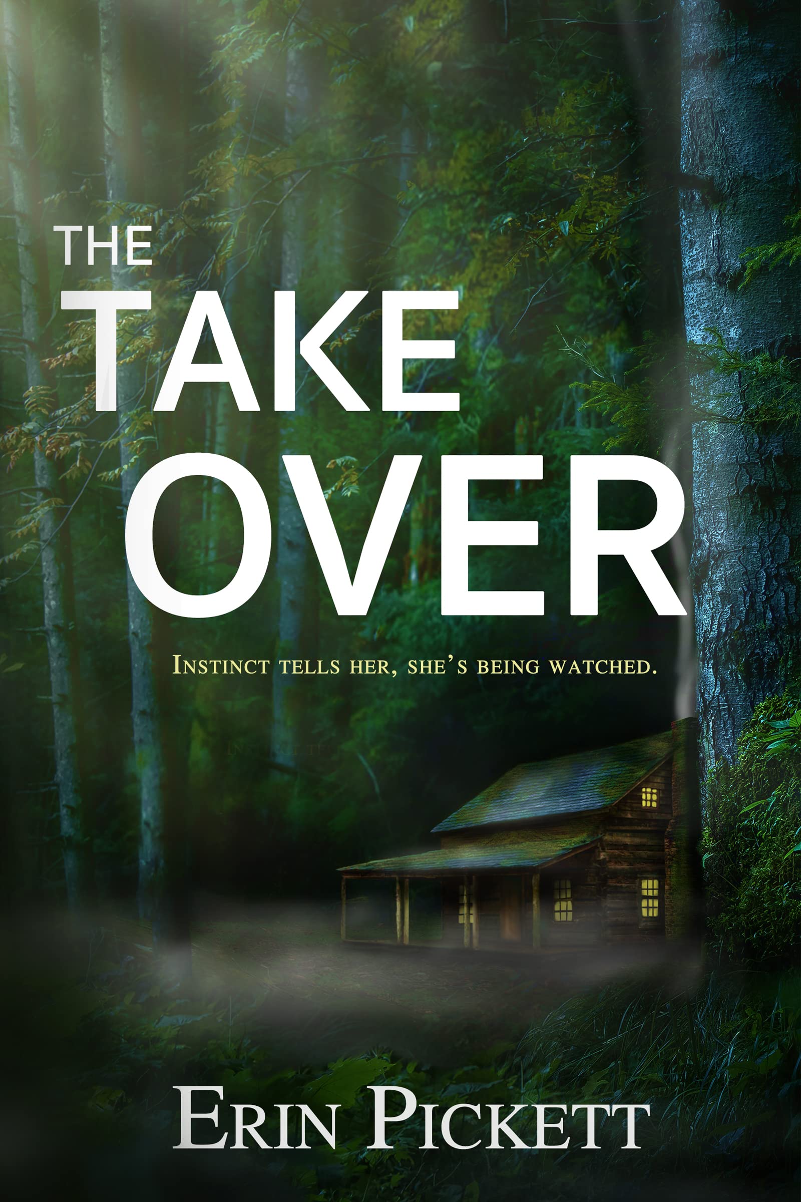 The Takeover (Kindle Edition)