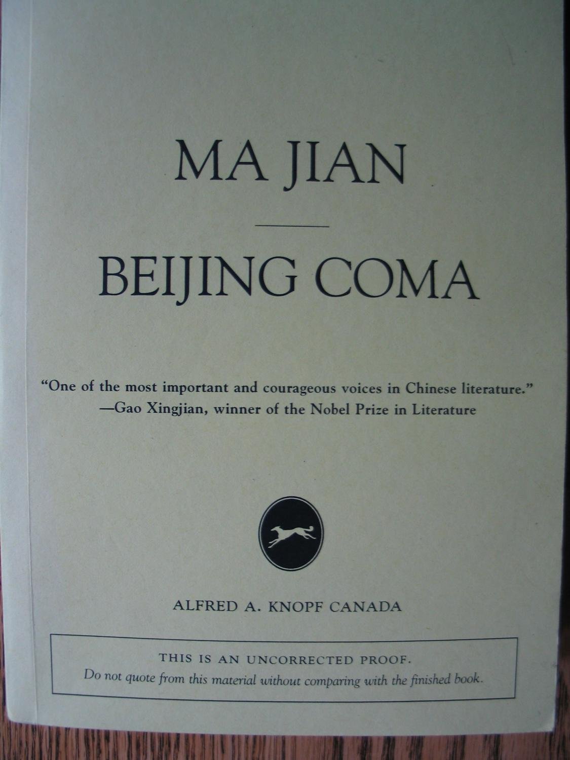 Beijing Coma
