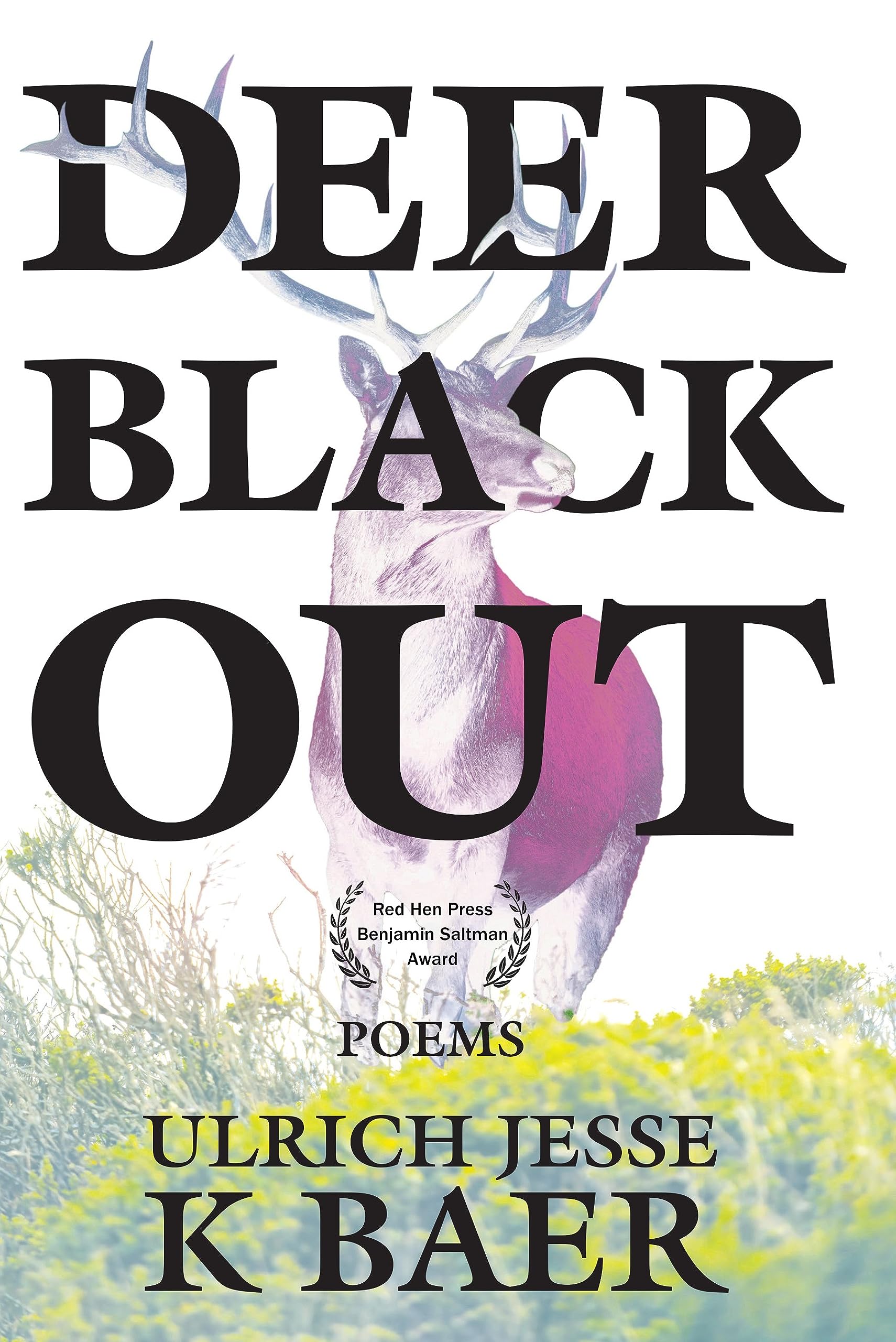Deer Black Out (Paperback)