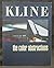 Franz Kline: the Color Abst...