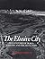 The Elusive City (Icon Editions)