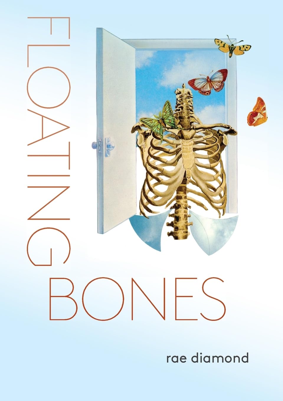 floating bones: a dialogue of belonging (Paperback)