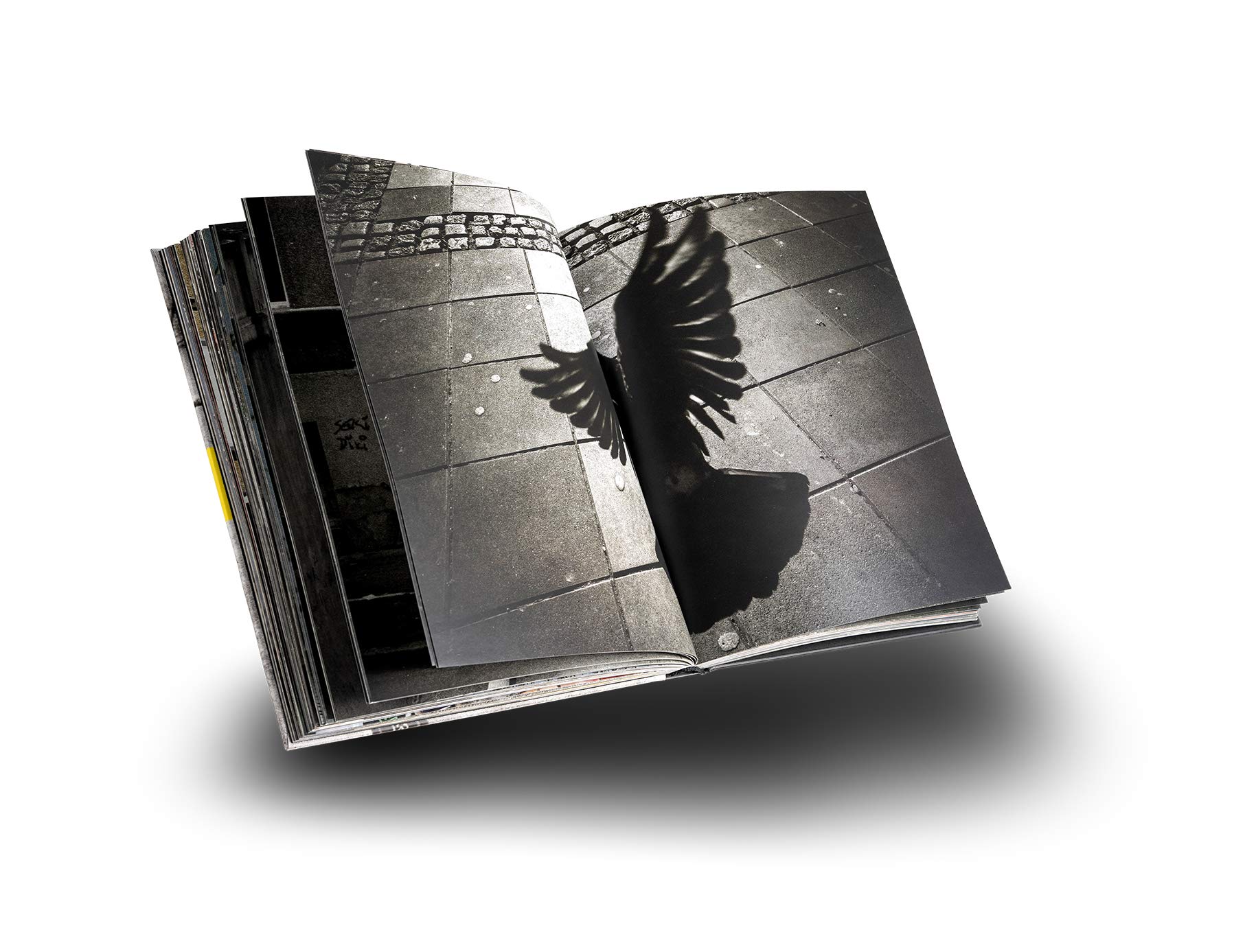 BELGRADE GUIDE - BOOGIE (Perfect Paperback)