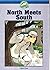 North Meets South by Matt Sims