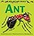 Ant (Bouncing Bugs) by David Hawcock (2013-04-08)