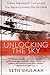 Unlocking the Sky: Glenn Hammond Curtiss and the Race to Invent the Airplane by Seth Shulman (2003-09-16)