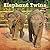 By Richard Sobol Elephant Twins (Penguin Core Concepts) [Paperback]