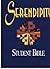 Serendipity Student Bible New International Version - 1997 publication.