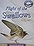 Flight of the Swallows - Le...