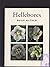 Hellebores