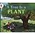 A Tree Is a Plant by Bulla, Clyde Robert [HarperCollins, 2001] Paperback [Paperback]