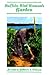 Buffalo Bird Woman's Garden: Agriculture of the Hidatsa Indians [BUFFALO BIRD WOMANS GARDEN] [Paperback]