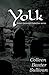 Yolk (Adam Garwood Detective Series) (Volume 1) by Colleen Baxter Sullivan (2014-10-01)