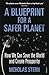 A Blueprint for a Safer Planet: How We Can Save the World and Create Prosperity by Nicholas Stern (2010-07-01)