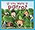 If You Were a Parrot by Katherine Rawson (2006-08-10)