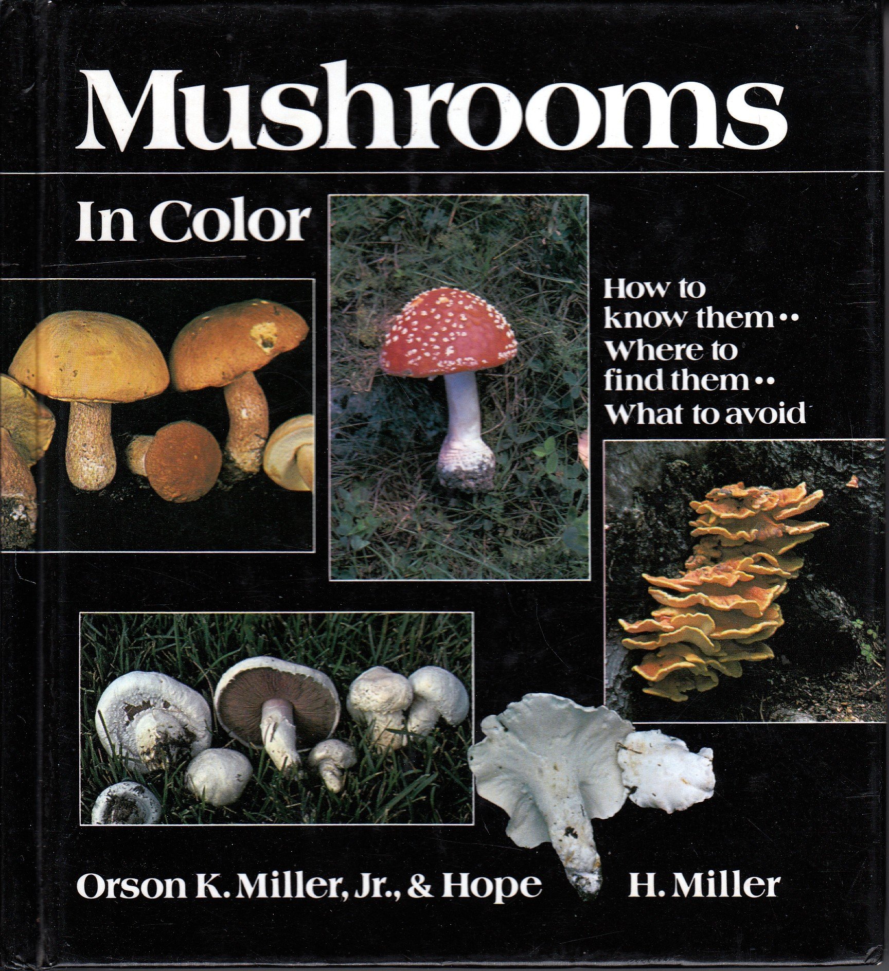 Mushrooms in color (Hardcover)