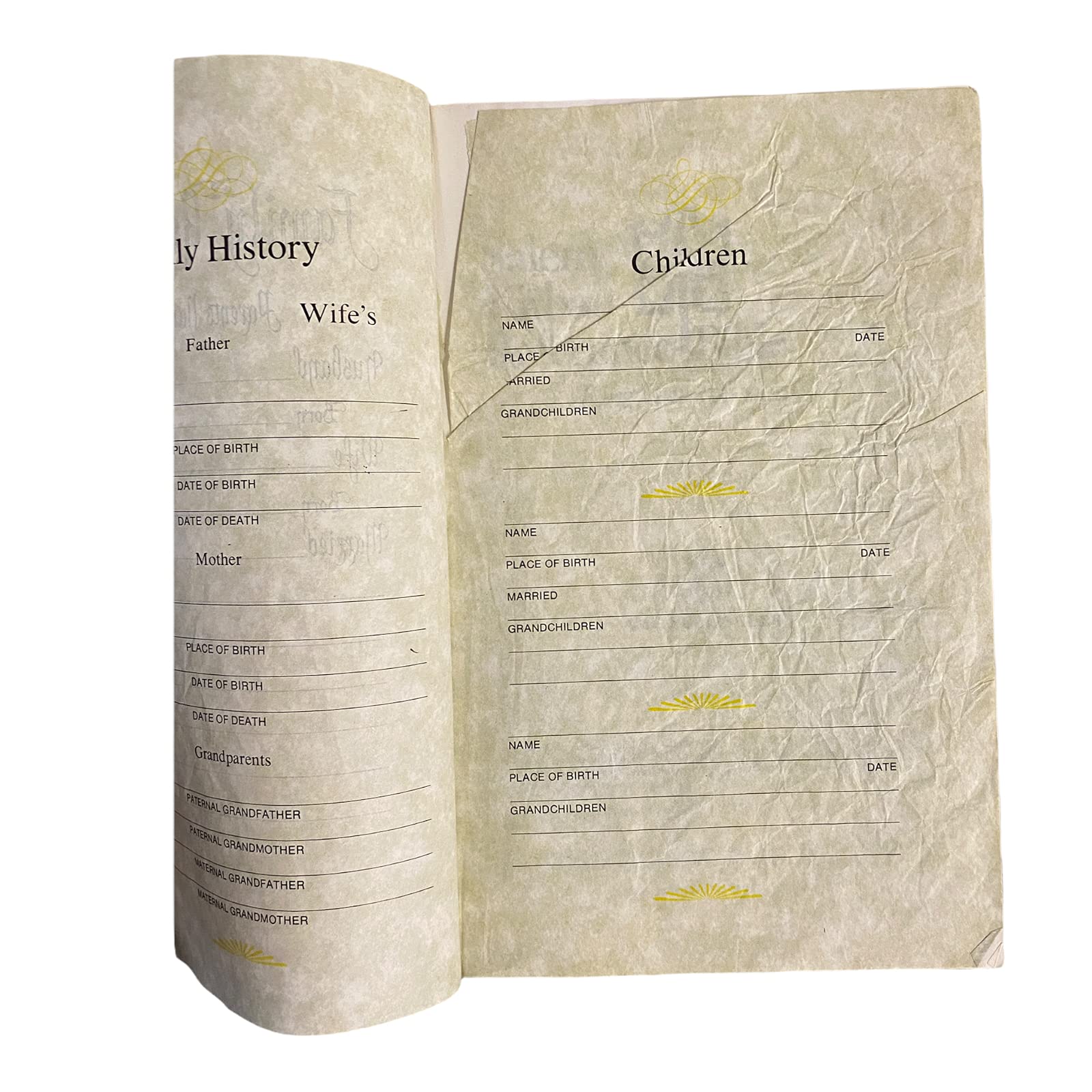 Salem Kirban Reference Bible: King James Version (Leather Bound)